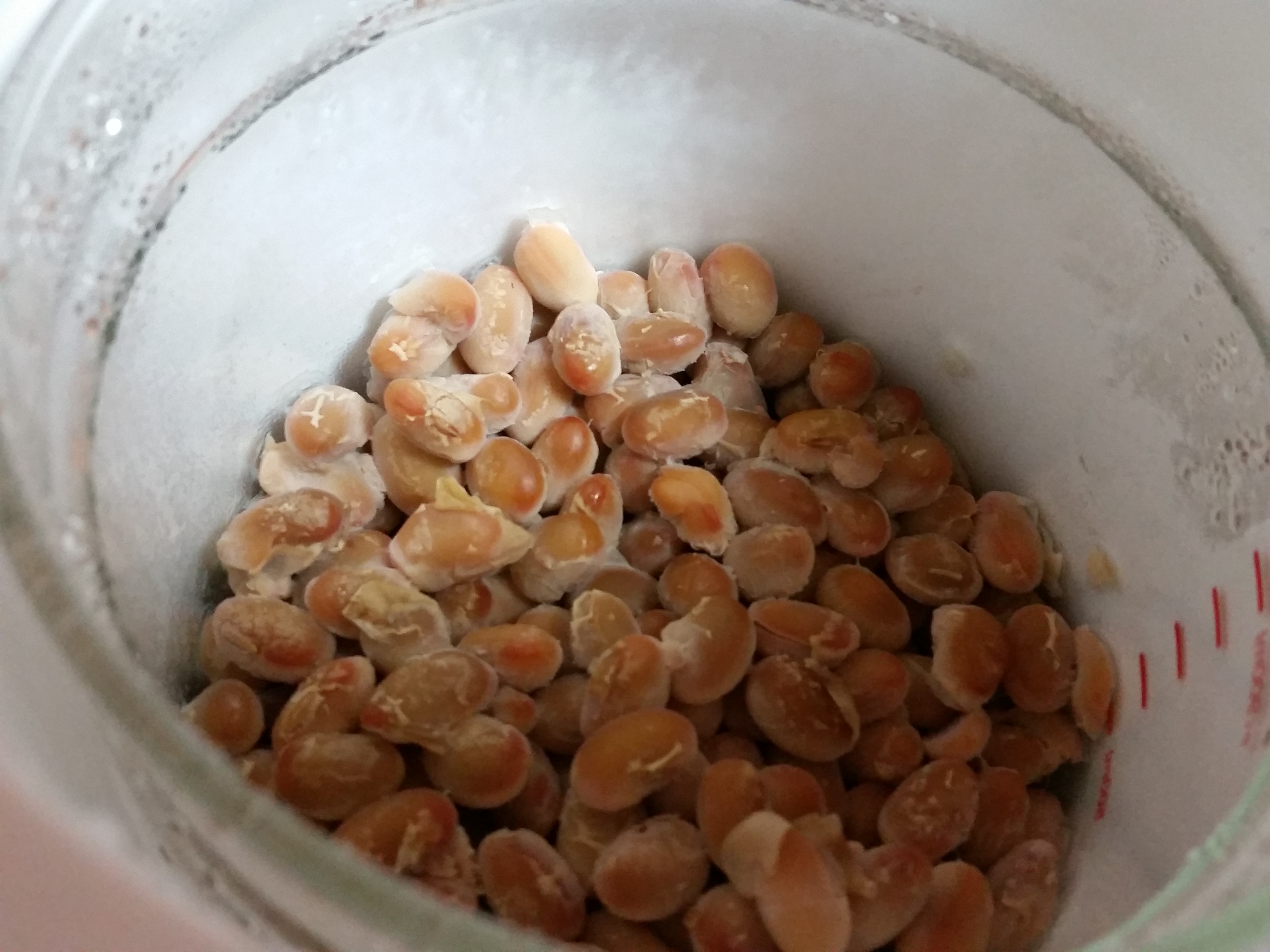 発酵生活：納豆の作り方　42度24時間発酵
