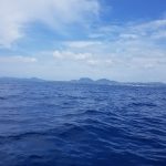 2018沖縄：漁船でジギング編　祝！初カンパチ！
