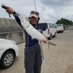 2018沖縄：漁港で泳がせ編　ターポンの釣れる海！